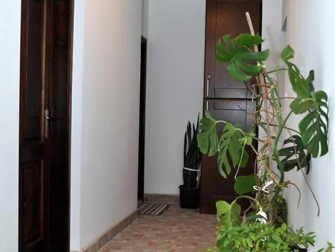 Cabană Bogdanovic *